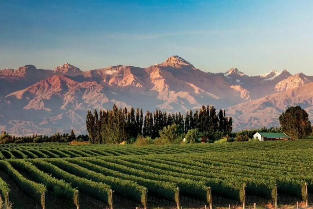 Mendoza