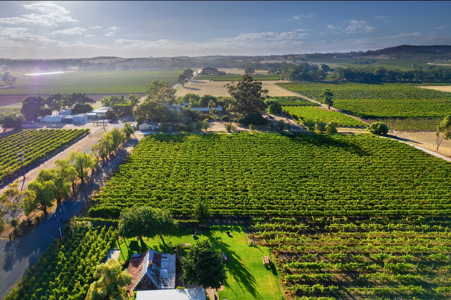Barossa Valley