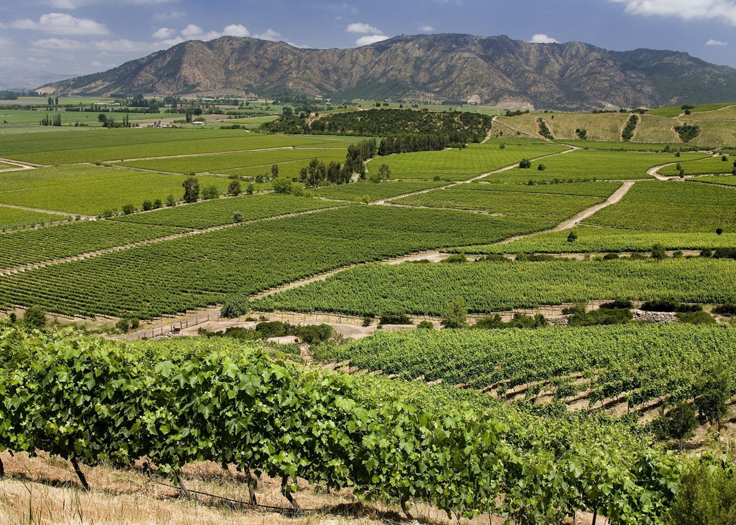 Valle Colchagua