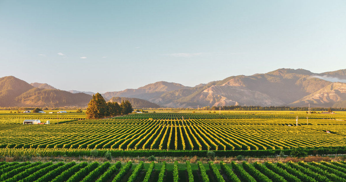 New Zealand