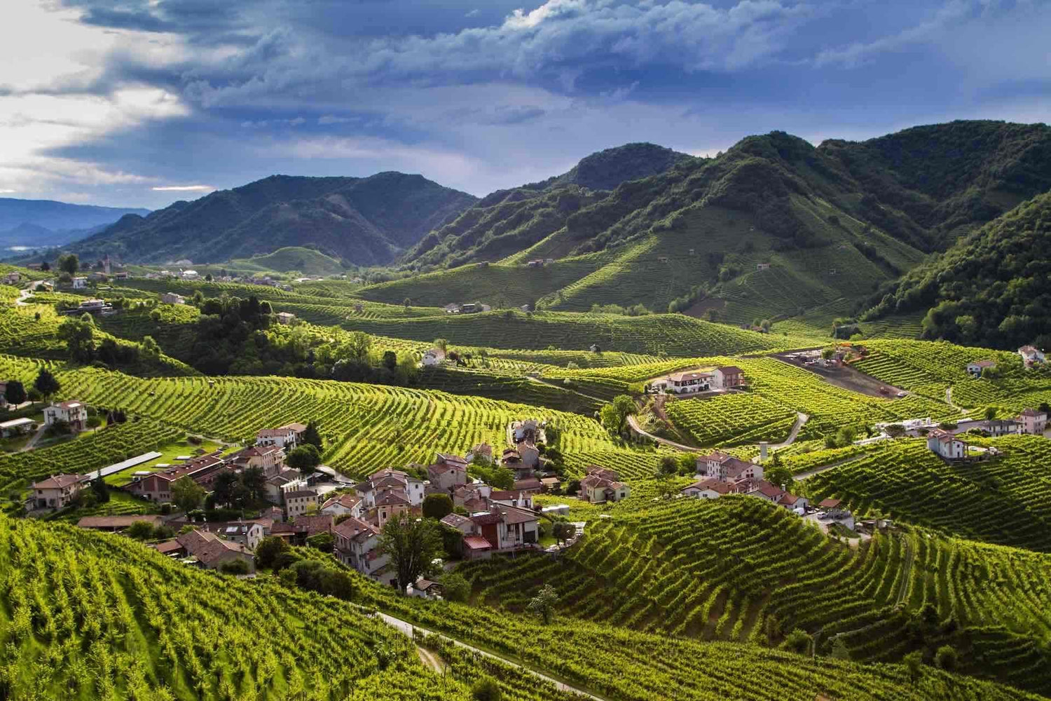 Prosecco